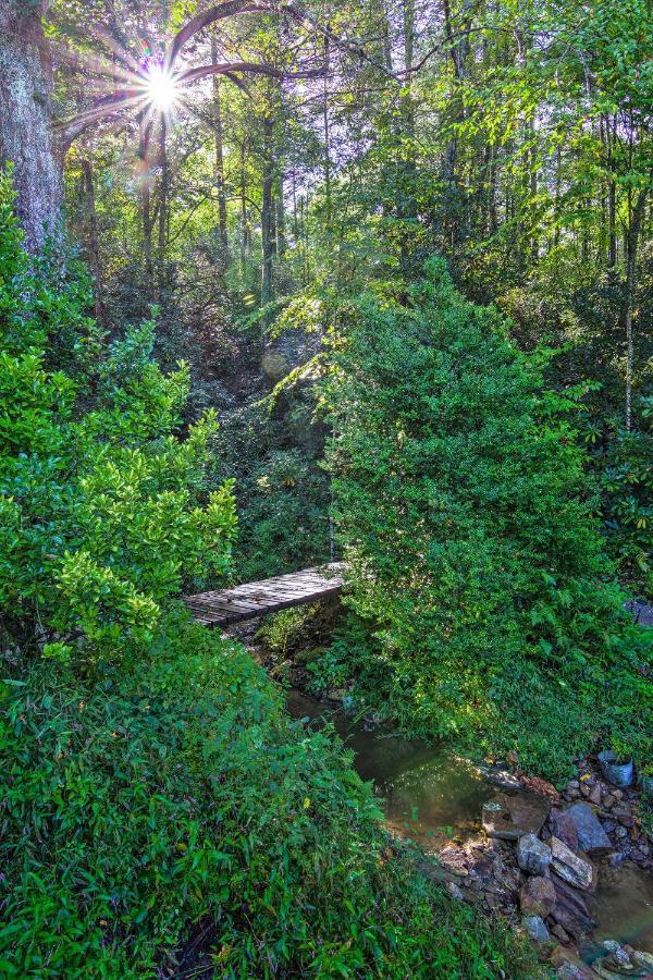 Shaw Creek Cottage With Fire Pit And Forest Views Hendersonville Exteriör bild